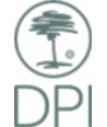 DPI